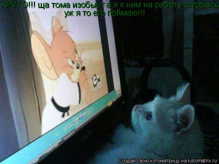 Котоматрица: КРУТО!!! ща тома изобьют а я к ним на работу устроюсь!! уж я то его поймаю!!!
