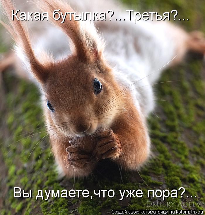 Котоматрица: Какая бутылка?...Третья?... Вы думаете,что уже пора?...