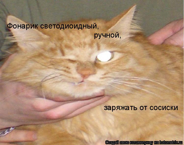 Котоматрица: Фонарик светодиоидный, ручной, заряжать от сосиски