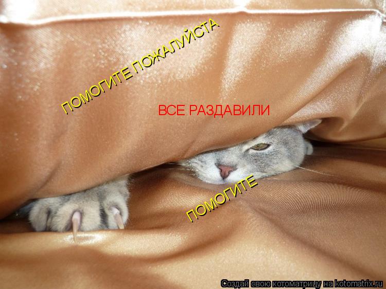 Котоматрица: ПОМОГИТЕ ПОМОГИТЕ ПОЖАЛУЙСТА  ВСЕ РАЗДАВИЛИ
