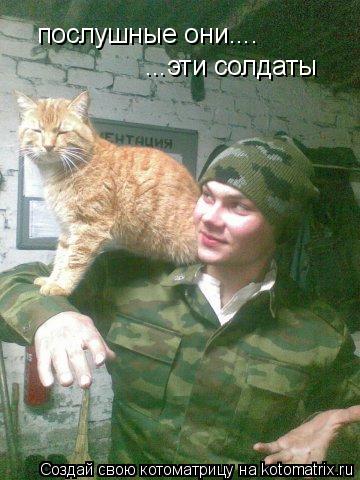 Котоматрица: послушные они.... ...эти солдаты