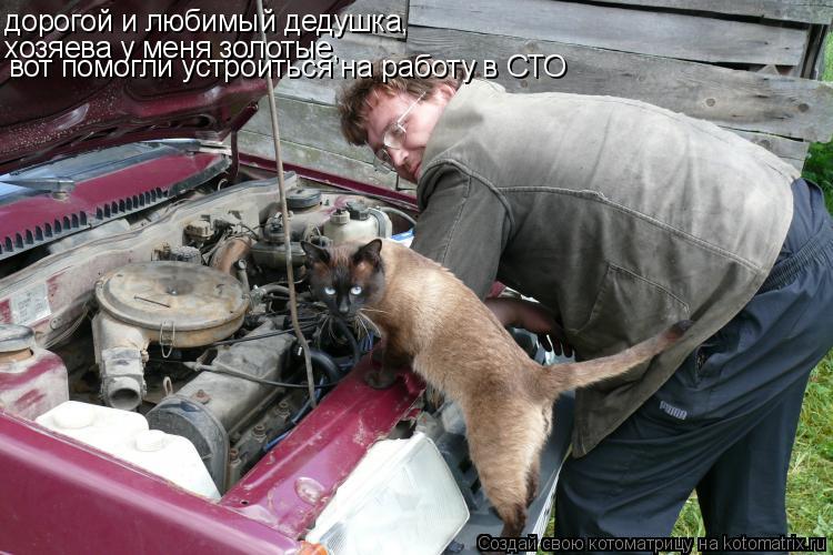 Котоматрица: дорогой и любимый дедушка, хозяева у меня золотые, вот помогли устроиться на работу в СТО