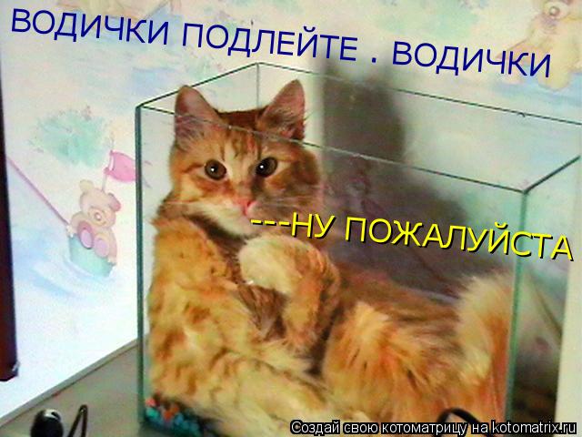 Котоматрица: ВОДИЧКИ ПОДЛЕЙТЕ . ВОДИЧКИ  ---НУ ПОЖАЛУЙСТА