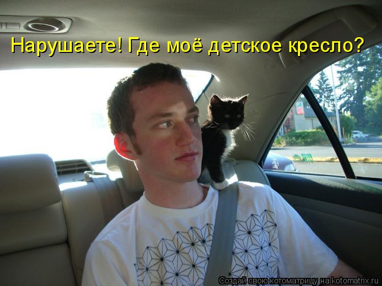 Нарушаете! Где моё детское кресло?... Котоматрица: Нарушаете! Где моё детское кресло?