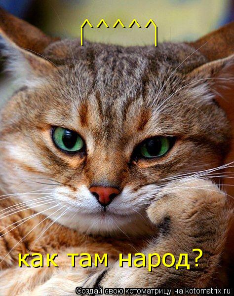 Котоматрица: | ^^^^^ как там народ? |