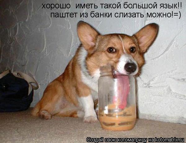 Котоматрица: хорошо  иметь такой большой язык!! паштет из банки слизать можно!=)