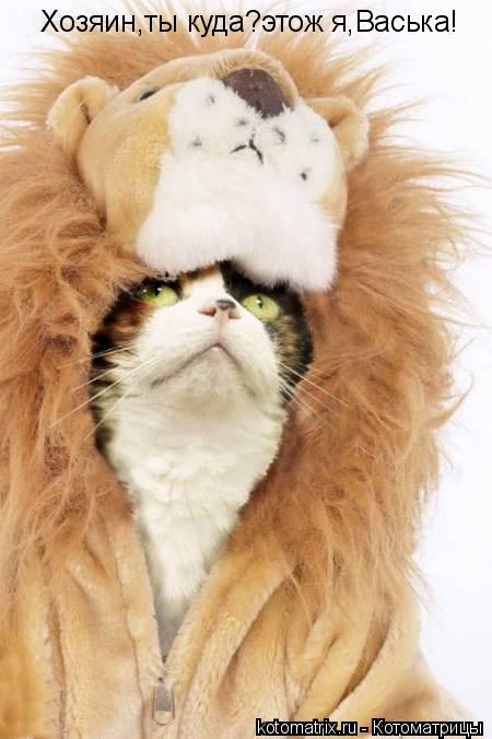 Котоматрица: Хозяин,ты куда?этож я,Васька!