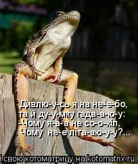 Котоматрица: Дивлю-у-сь я на не-е-бо,  та й ду-у-мку гада-а-ю-у: -Чому я-а-а не со-о-кiл, Чому  не-е лiта-аю-у-у?...