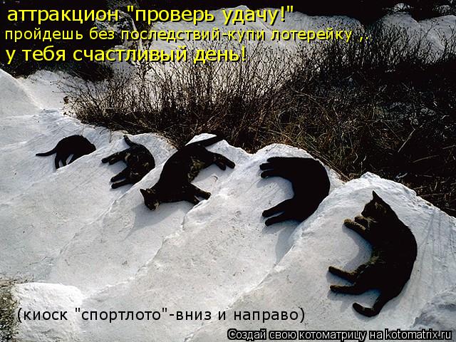 Котоматрица: аттракцион "проверь удачу!"  пройдешь без последствий-купи лотерейку ,. у тебя счастливый день! (киоск "спортлото"-вниз и направо)