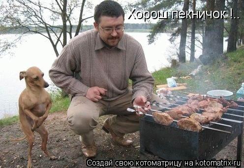 Котоматрица: Хорош пекничок !..