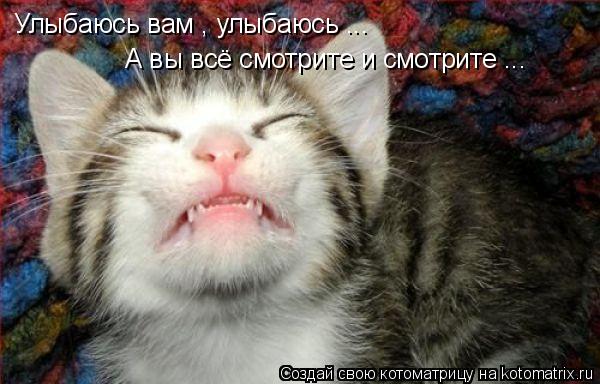 Котоматрица: Улыбаюсь вам , улыбаюсь ... А вы всё смотрите и смотрите ...