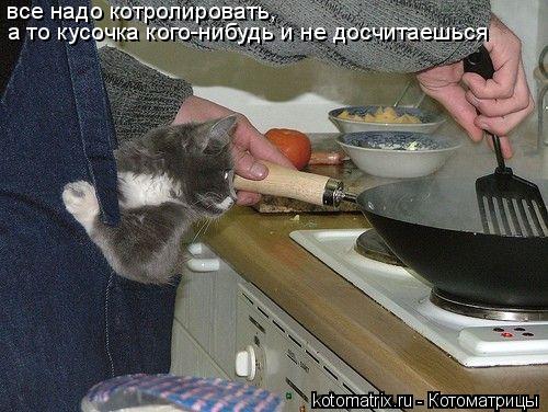 Котоматрица: все надо котролировать,  а то кусочка кого-нибудь и не досчитаешься