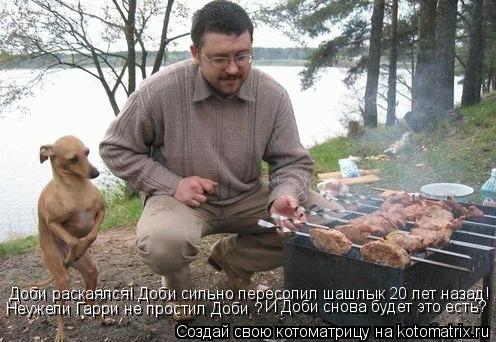 Котоматрица: Доби раскаялся! Доби сильно пересолил шашлык 20 лет назад! Неужели Гарри не простил Доби ?  И Доби снова будет это есть?