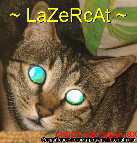 Котоматрица: ~ LaZeRcAt ~ скоро на экранах