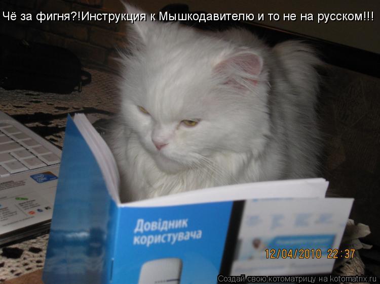Котоматрица: Чё за фигня?!Инструкция к Мышкодавителю и то не на русском!!!