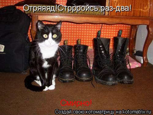 Котоматрица: Отряяяд!Стррройсь,раз-два! Смирно!