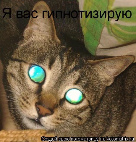 Я вас гипнотизирую... Котоматрица: Я вас гипнотизирую