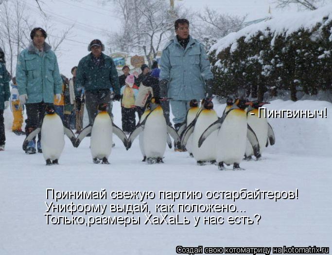Принимай свежую партию остарбайтеров! Униформу выдай, как положено... Только,размеры ХаХаLь у нас ест... Котоматрица: Принимай свежую партию остарбайтеров! Униформу выдай, как положено... Только,размеры ХаХаLь у нас есть? - Пингвиныч!