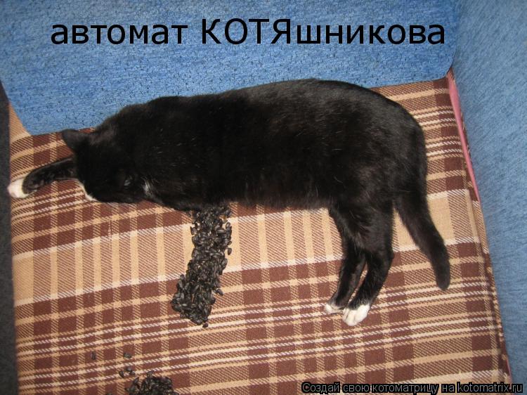 Котоматрица: автомат КОТЯшникова