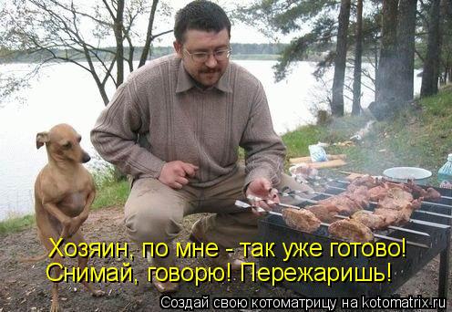 Хозяин, по мне - так уже готово! Снимай, говорю! Пережаришь!... Котоматрица: Хозяин, по мне - так уже готово! Снимай, говорю! Пережаришь!