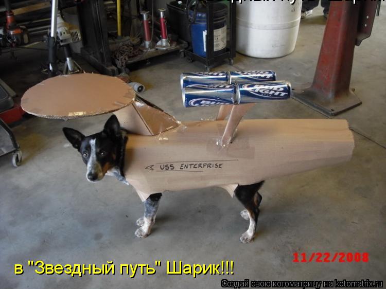 Котоматрица: в "Звездный путь" Шарик!!! в "Звездный путь" Шарик!!!