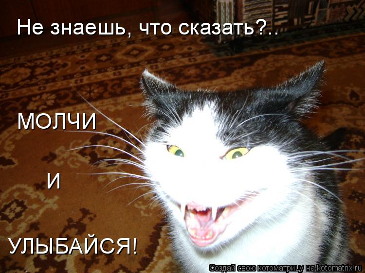 Не знаешь, что сказать?.. МОЛЧИ И УЛЫБАЙСЯ!... Котоматрица: Не знаешь, что сказать?.. МОЛЧИ И УЛЫБАЙСЯ!