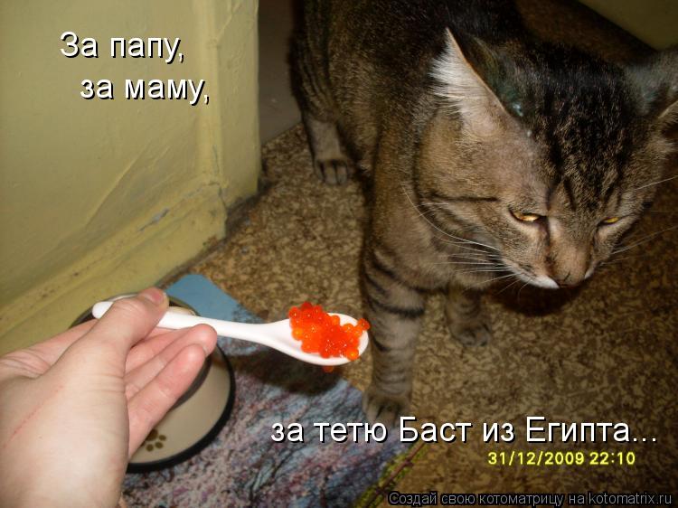 Котоматрица: За папу, за маму, за тетю Баст из Египта...