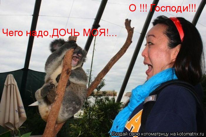 Котоматрица: О !!! Господи!!! Чего надо,ДОЧЬ МОЯ!...