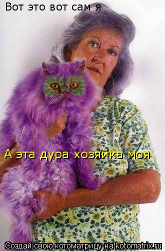 Котоматрица: Вот это вот сам я А эта дура хозяйка моя