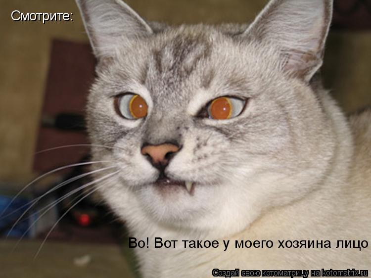 Котоматрица: Смотрите: Во! Вот такое у моего хозяина лицо