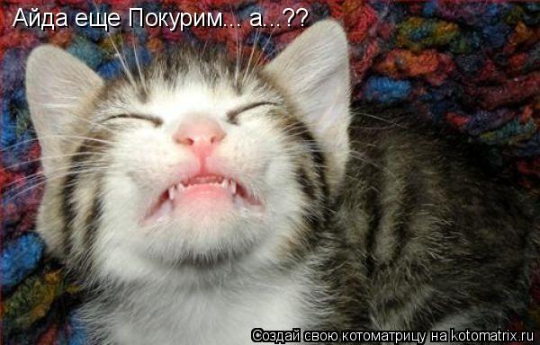 Котоматрица: Айда еще Покурим... а...??