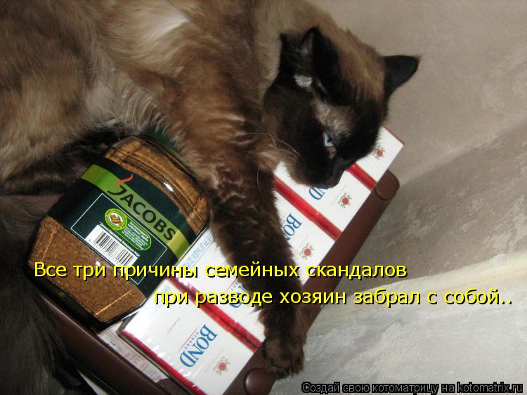 Все три причины семейных скандалов при разводе хозяин забрал с собой..... Котоматрица: Все три причины семейных скандалов при разводе хозяин забрал с собой..