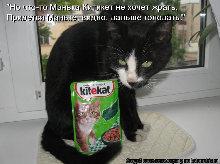 Котоматрица: "Но что-то Манька Китикет не хочет жрать, Придется Маньке, видно, дальше голодать!"