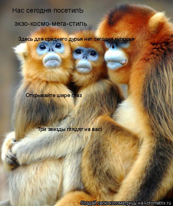 Котоматрица: Нас сегодня посетилЬ экзо-космо-мега-стиль. Здесь для среднего дурья нет сегодня кутюрья Открывайте шире глаз Три звезды глядят на вас!