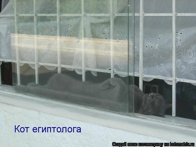 Котоматрица: Кот египтолога