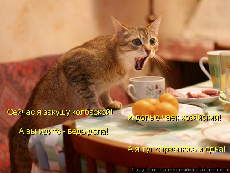 Котоматрица: Сейчас я закушу колбаской! И допью чаек хозяйский! А вы идите - ведь дела! А я тут справлюсь и одна!
