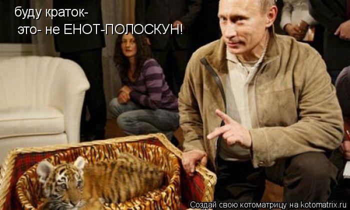 Котоматрица: буду краток- это- не ЕНОТ-ПОЛОСКУН!