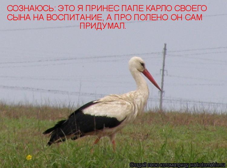 Котоматрица: СОЗНАЮСЬ: ЭТО Я ПРИНЕС ПАПЕ КАРЛО СВОЕГО  СЫНА НА ВОСПИТАНИЕ, А ПРО ПОЛЕНО ОН САМ  ПРИДУМАЛ.