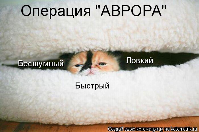 Котоматрица: Операция "АВРОРА" Бесшумный Ловкий Быстрый