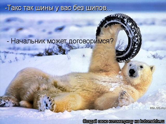 Котоматрица: -Такс так шины у вас без шипов... - Начальник может договоримся?