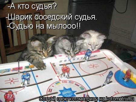 Котоматрица: -А кто судья? -Шарик соседский судья. -Судью на мылооо!!