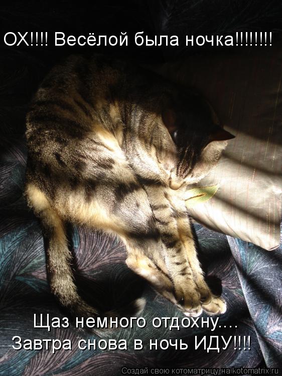 Котоматрица: ОХ!!!! Весёлой была ночка!!!!!!!! Щаз немного отдохну.... Завтра снова в ночь ИДУ!!!!