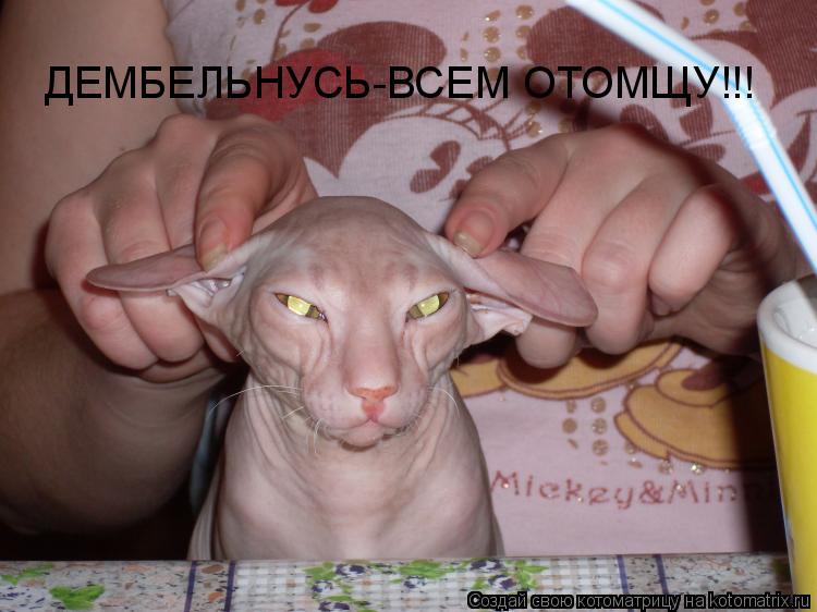 Котоматрица: ДЕМБЕЛЬНУСЬ-ВСЕМ ОТОМЩУ!!!