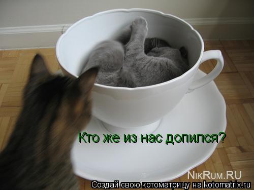 Кто же из нас допился?... Котоматрица: Кто же из нас допился?