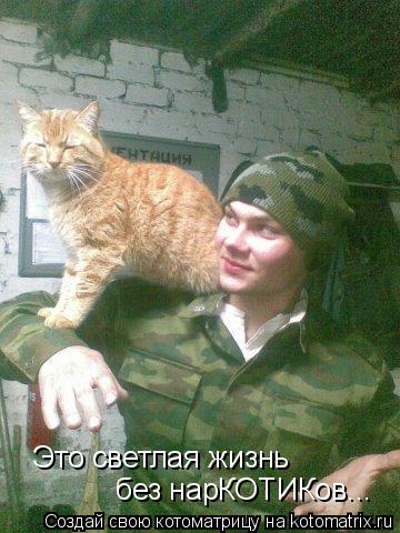 Это светлая жизнь без нарКОТИКов...... Котоматрица: Это светлая жизнь без нарКОТИКов...