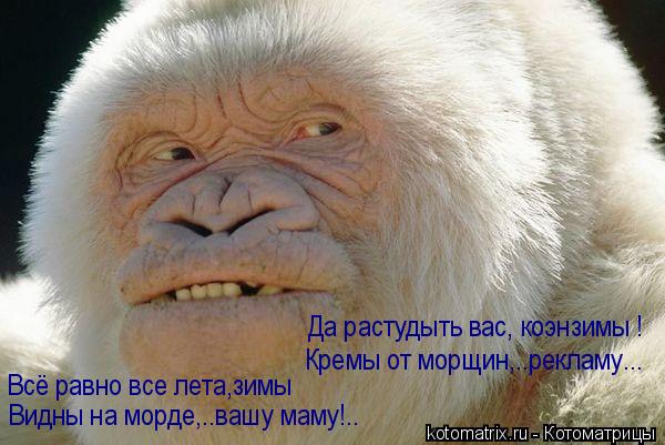 Видны на морде,..вашу маму!.. Всё равно все лета,зимы Да растудыть вас, коэнзимы ! Кремы от морщин,.... Котоматрица: Видны на морде,..вашу маму!.. Всё равно все лета,зимы Да растудыть вас, коэнзимы ! Кремы от морщин,..рекламу...