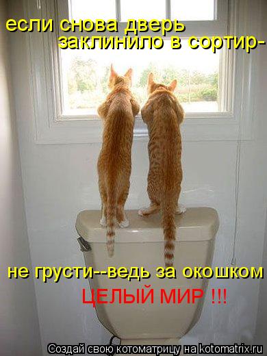 если снова дверь не грусти--ведь за окошком ЦЕЛЫЙ МИР !!! заклинило в сортир-... Котоматрица: если снова дверь не грусти--ведь за окошком ЦЕЛЫЙ МИР !!! заклинило в сортир-