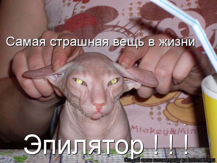 Котоматрица: Самая страшная вещь в жизни Эпилятор ! ! !