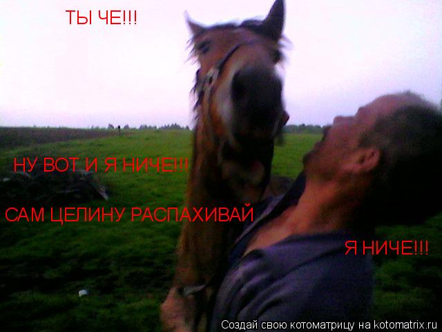 ТЫ ЧЕ!!! ТЫ ЧЕ!!! Я НИЧЕ!!! НУ ВОТ И Я НИЧЕ!!! САМ ЦЕЛИНУ РАСПАХИВАЙ... Котоматрица: ТЫ ЧЕ!!! ТЫ ЧЕ!!! Я НИЧЕ!!! НУ ВОТ И Я НИЧЕ!!! САМ ЦЕЛИНУ РАСПАХИВАЙ
