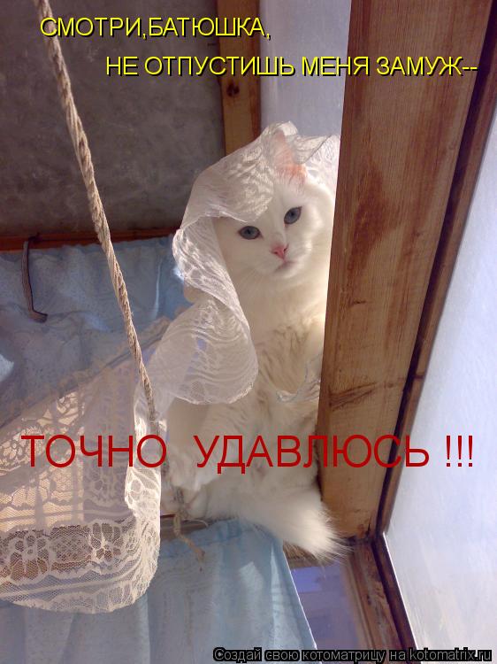 Котоматрица: СМОТРИ,БАТЮШКА, НЕ ОТПУСТИШЬ МЕНЯ ЗАМУЖ-- ТОЧНО  УДАВЛЮСЬ !!!